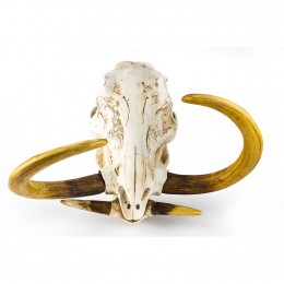 Фигура череп бородавочника Shishi