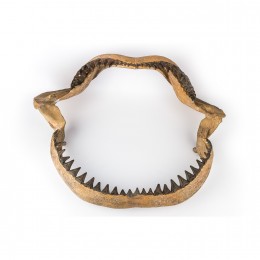 Настенное украшение- челюсть акулы Shishi