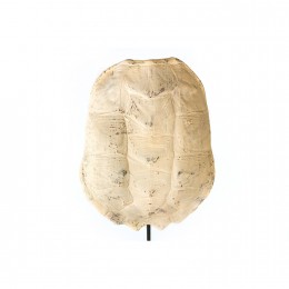 Фигура панцирь черепахи Shishi