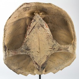 Фигура панцирь черепахи Shishi