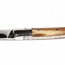 Приборы Goyon-Chazeau 6600223-2 набор 12 предметов Тьер, рукоятки из темного рога, в дубовой коробке, 6 ножей+6 вилок