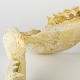 Настенное украшение- челюсть акулы Shishi