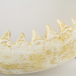 Настенное украшение- челюсть акулы Shishi