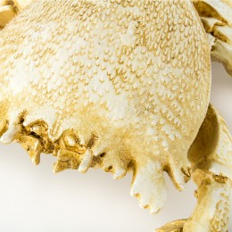 Фигура краба Shishi