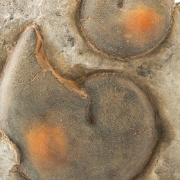 Настенное панно Shishi