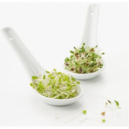 Фарфоровая ложка "шеф-комплимент" Revol Гранд-классик RCU0313-1