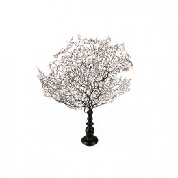 Фигура водоросли Shishi