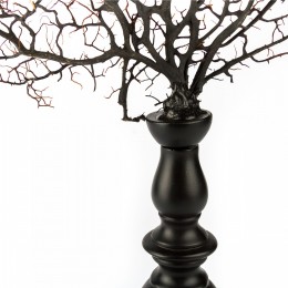 Фигура водоросли Shishi