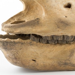 Фигура череп носорога Shishi