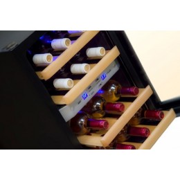 Винный шкаф Cold Vine C12-TSF2