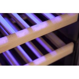 Винный шкаф Cold Vine C30-KST2