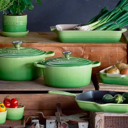 Le Creuset Блюдо прямоугольное 26х17см, пальмовый