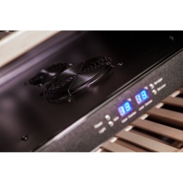 Винный шкаф Cold Vine C34-KBF2