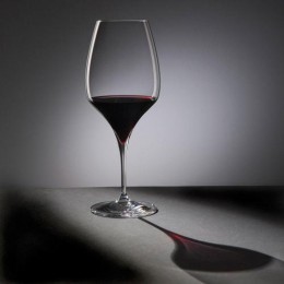 Набор фужеров КАБЕРНЕ, 2 шт, коллекция VITIS, Н26,0 см, 819 мл