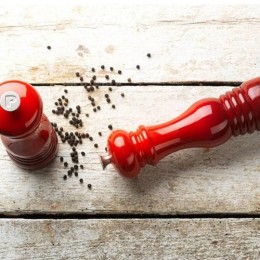 Le Creuset Мельница для соли 15 см, пластик, цвет: вишневый