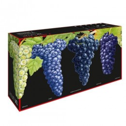 Набор из 4 бокалов syrah Riedel Value gift sets 7416/41