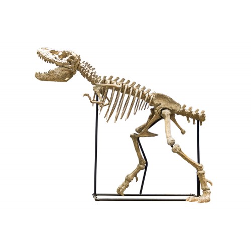 Фигура динозавра Shishi, полирезина