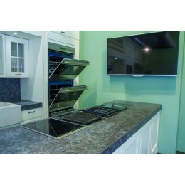 Интегрируемый модуль Wolf ICBIG15/S